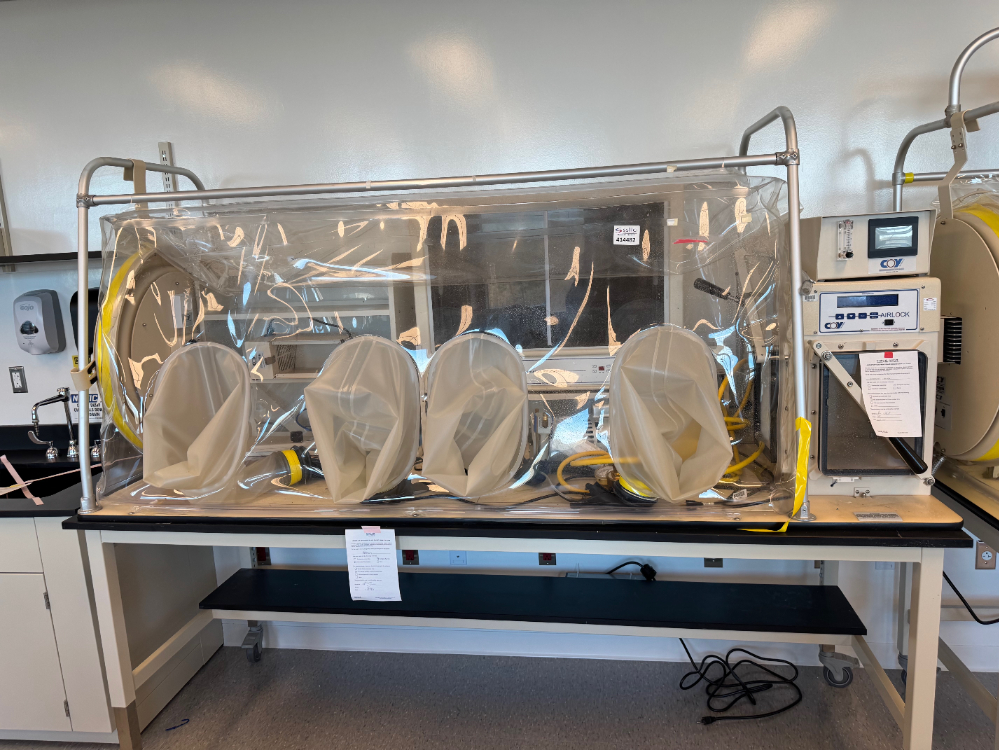 Image of Coy Anaerobic Chamber